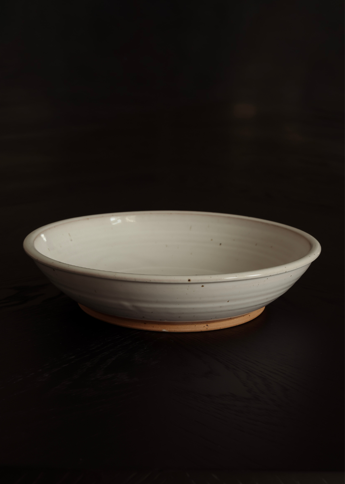 Salve Bowl | Fully Glazed