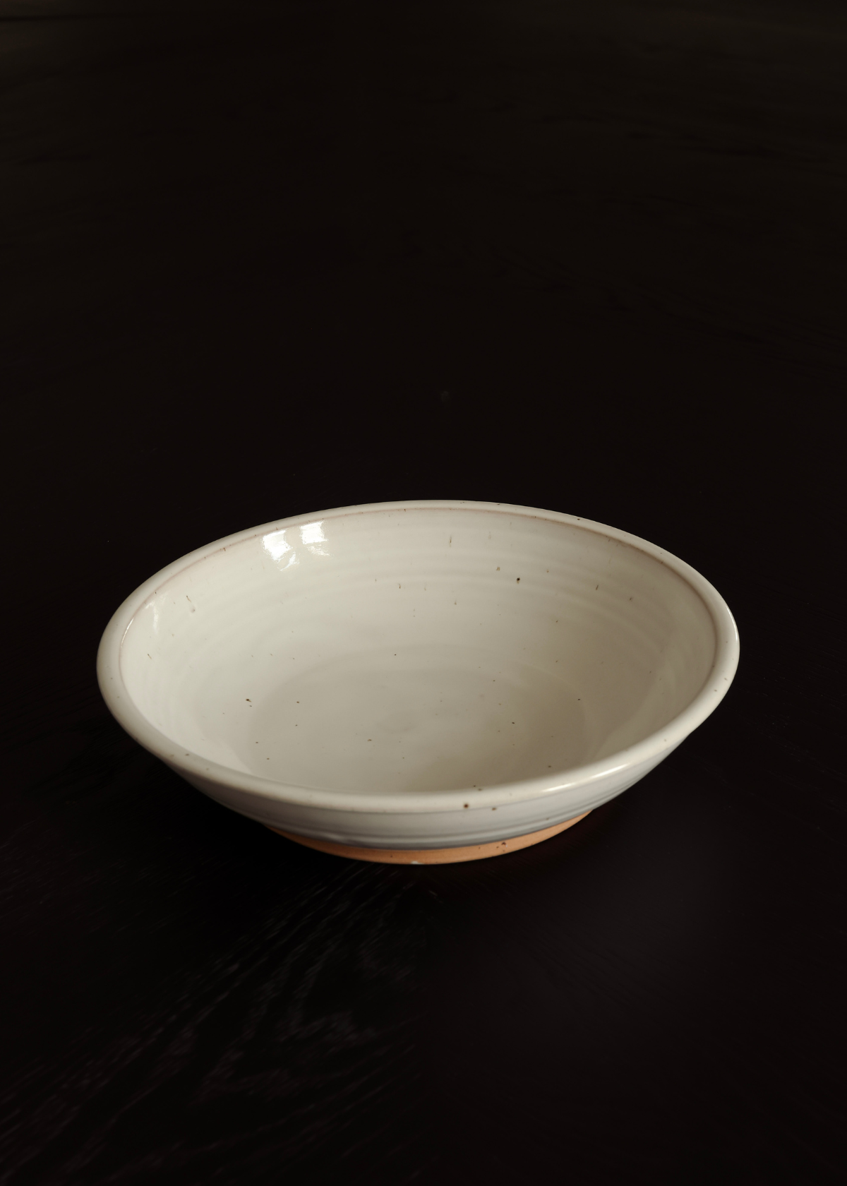 Salve Bowl | Fully Glazed