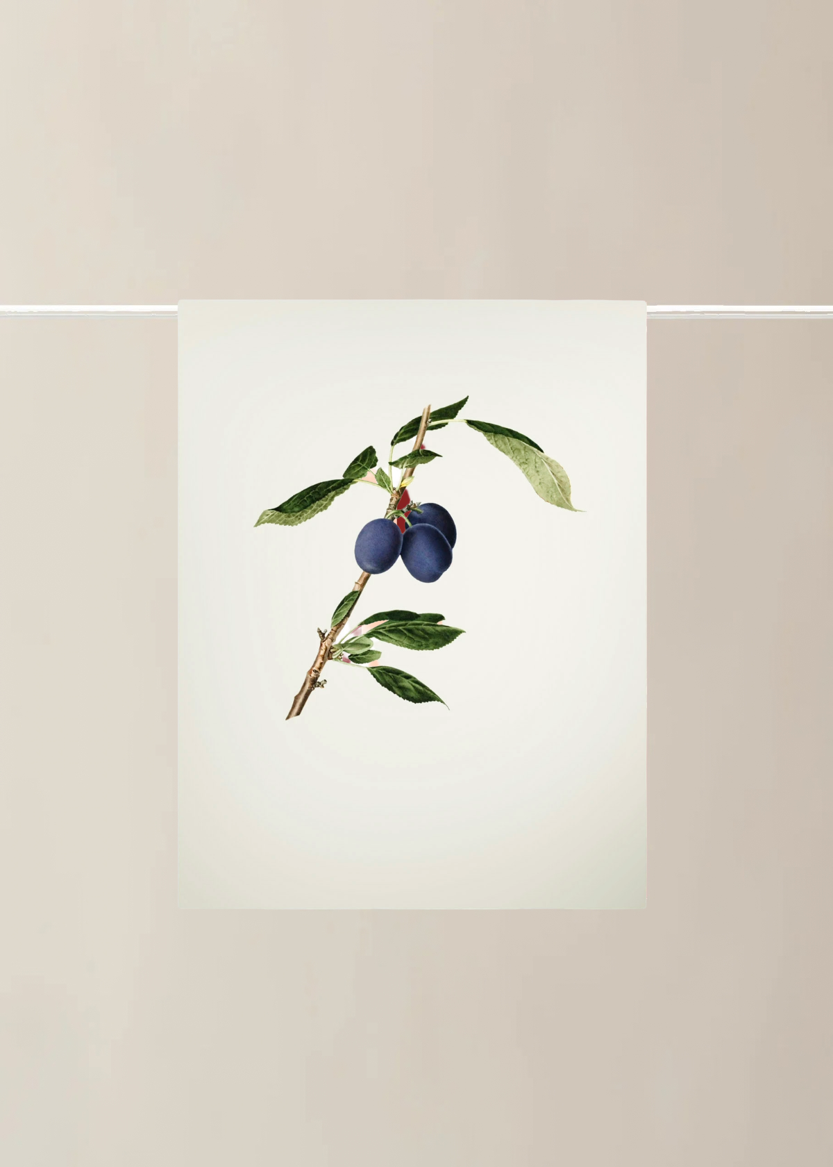 Lettuce Tea Towel | Plums
