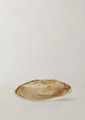 Octavia Ceramic Shell | Natural