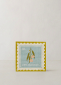 Daphne 20pk Napkin | Multi