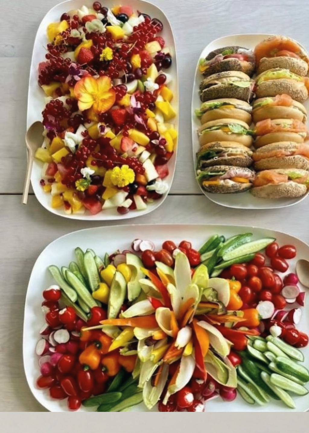 Bagastro Catering Tray | 2pk