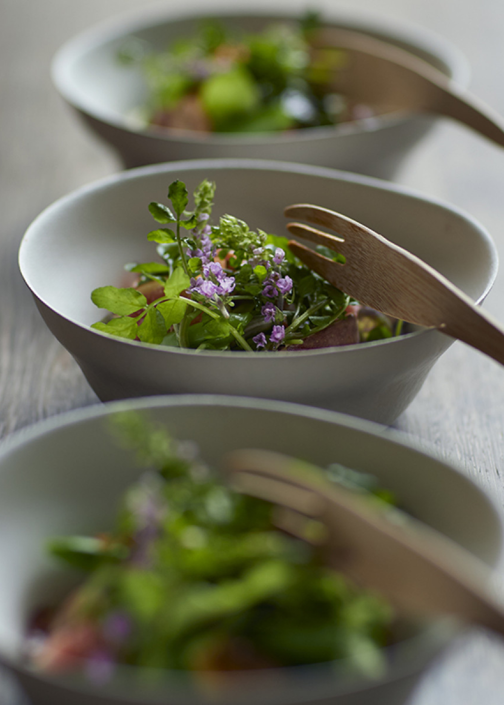 WASARA HACHI Bowl | 25pk